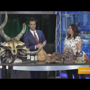 Timber Farm brings the terror to GMJ