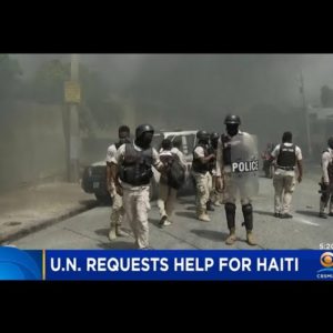 U.N. Calls For "Rapid Action Force" To Haiti
