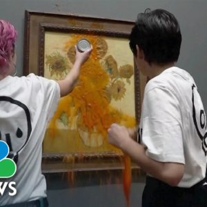 Watch: Climate Activists Cover Van Gogh’s Priceless Sunflowers In Soup