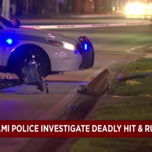 Woman killed after hit-and-run crash in Miami