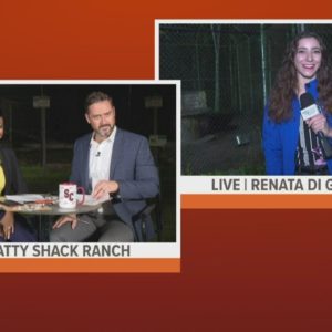 GMJ feeds tigers at Catty Shack Ranch during visit for 'Kids Free November'
