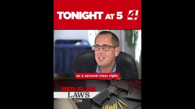 I-TEAM: Are Florida’s red flag laws preventing the next mass shooting or a breach of rights?
