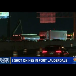 3 Shot In Road Rage Incident On 1-95 In Ft. Lauderdale