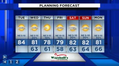 A warm start to November, cooler days ahead