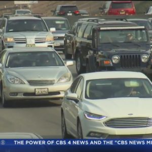 AAA expects record travel in Florida over Thanksgiving holiday
