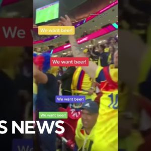 Ecuador’s fans chant “We want beer” in their opening World Cup match against Qatar #shorts