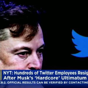 Another Wave Of Key Employees Leave Twitter After Elon Musk's "Hardcore" Ultimatum