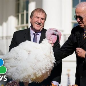 Biden: 'No Ballot Stuffing' In Note For Thanksgiving Turkey Pardon