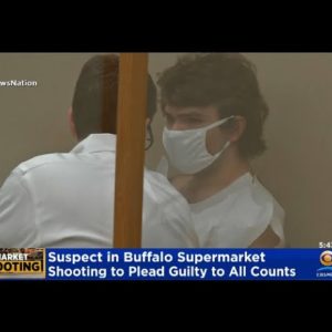 Buffalo Supermarket Shooting Suspect To Plead Guilty To All Counts