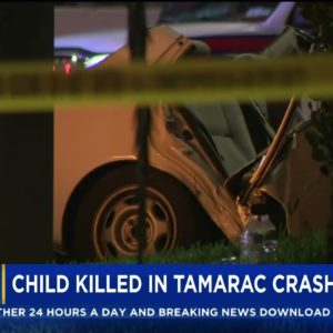 Child Killed, 9 Hospitalized In Tamarac Crash