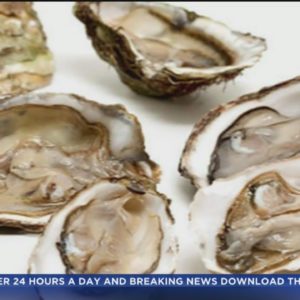 Consumer Alert: FDA issues warning about frozen half shell oysters