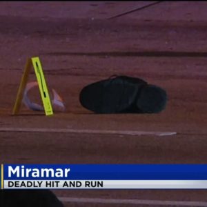 Driver Flees After Striking And Killing A Man In Miramar