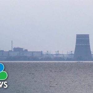 Zaporizhzhia Nuclear Power Plant Went 'Full Blackout' After Russian Shelling, Ukraine Says