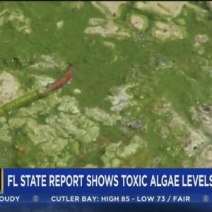 Eye on Earth: Ian runoff fueling toxic algae bloom along Florida coastal areas