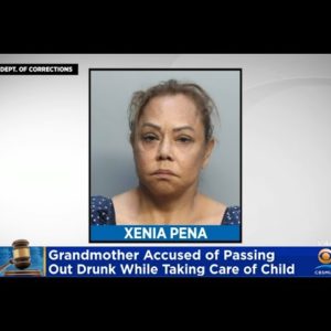 Homestead Grandmother Accused Of Passing Out Drunk While Caring For Child