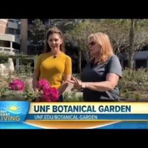 Find your zen at the UNF Botanical Garden