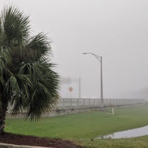 Following fog, more sunshine in Central Florida ahead of cooler weather