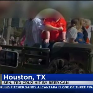 Man Arrested After Throwing A Beer Can At Sen. Cruz During Astros World Series Parade