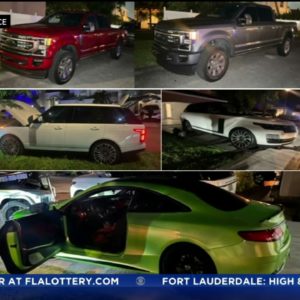 High-End Car Theft Ring Broken Up By Broward Sheriffs