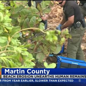 Human Remains Uncovered By Beach Erosion After Hurricane Nicole