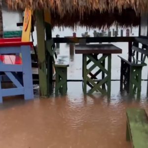 Hurricane Nicole: Scenes at Whitey's Fish Camp