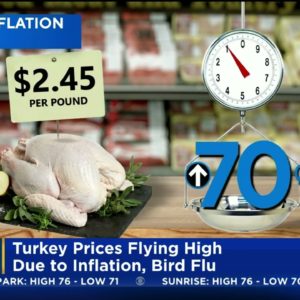 Inflation And Bird Flu Sending Thanksgiving Turkey Prices Sky High