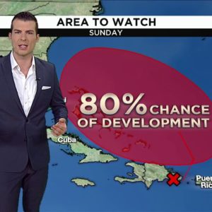 Local 10 News Weather: 11/06/2022 Morning Edition