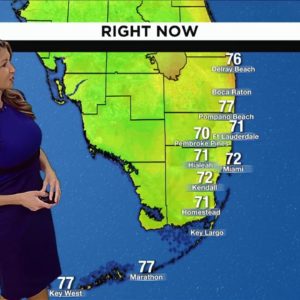 Local 10 Weather: 11/08/2022 Morning Edition