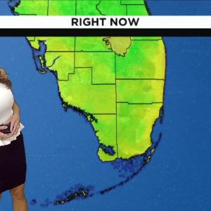 Local 10 Weather: 11/15/2022 Morning Edition