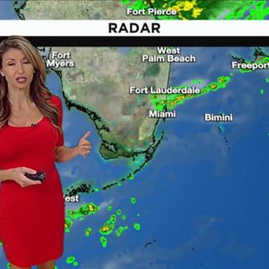 Local 10 Weather: 11/22/22 Morning Edition