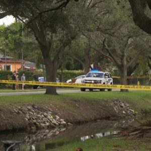 Man dead after car crashes into Miami Springs canal