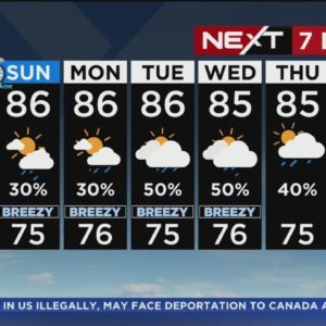 Miami Weather: Weekend Forecast
