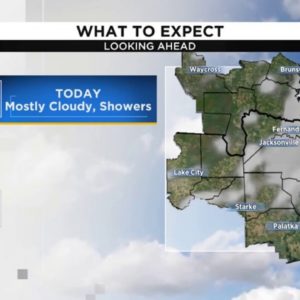 Mostly cloudy with a few showers possible