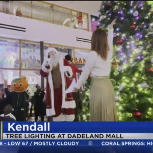 CBS4's Lauren Pastrana rings in holiday season with tree lighting at Dadeland Mall