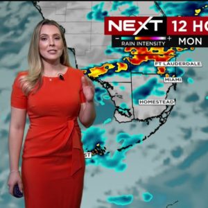 NEXT Weather - Miami + South Florida Forecast - Monday Afternoon 11/21/22