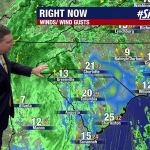 Nicole update: Tropical wave moves north, dumping rain over East Coast