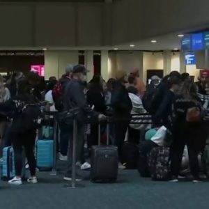 OIA stays busy after Thanksgiving holiday weekend