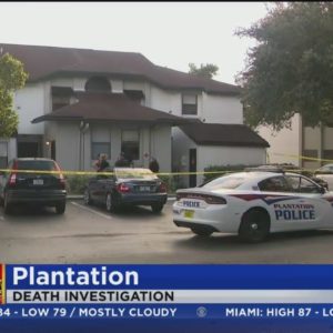Plantation police investigating murder-suicide