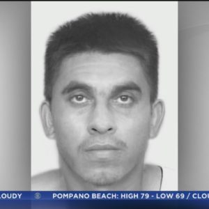 Police release sketch of suspect in attacks