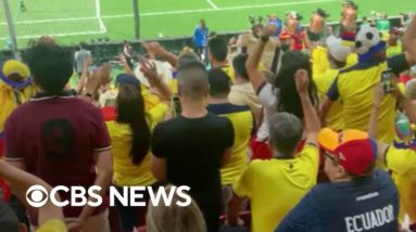 Ecuador fans erupt in "We want beer" chants during opening match against Qatar