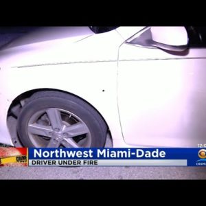 Driver Thankful To Be Alive After Car Hit With Bullets In NW Miami-Dade