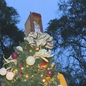 St. Augustine Lighthouse displays Christmas Trees with creative themes