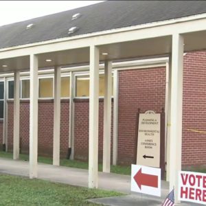 Statewide early voting underway in Georgia