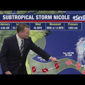 Subtropical Storm Nicole forms: Here's what to expect in Florida