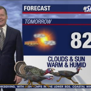 Tampa Bay’s Thanksgiving forecast preview