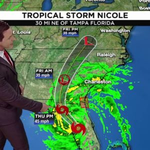 Tropical Storm Nicole: noon forecast
