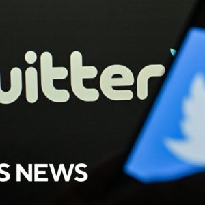 Twitter fires contractors in charge of moderating content