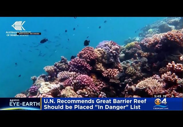 United Nations: Great Barrier Reef Should Be Placed On "In Danger" List
