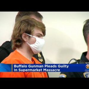 Buffalo Supermarket Gunman Pleads Guilty To Murder And Hate-Motivated Terrorism