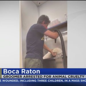 Warning Graphic Video: Boca Raton groomer accused of abusing dogs